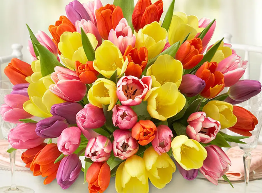 cheerful flowers with Assorted tulips