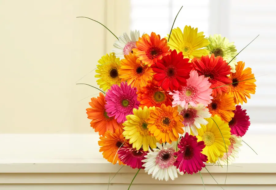 grandparents' day flowers with gerbera daisies