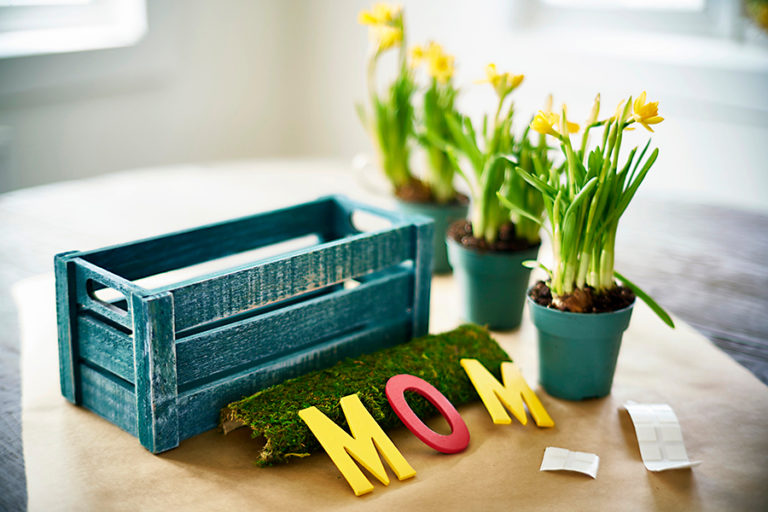 DIY Mother's Day Gifts Custom Planter for Mom Petal Talk