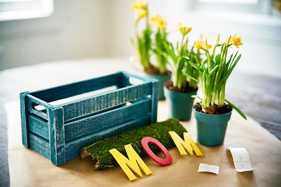 Ingredients for mom planter