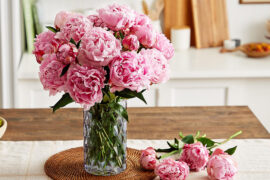 How to Plant, Grow, and Care for Peonies