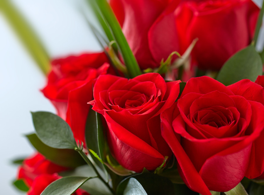 hypoallergenic flowers with Red roses