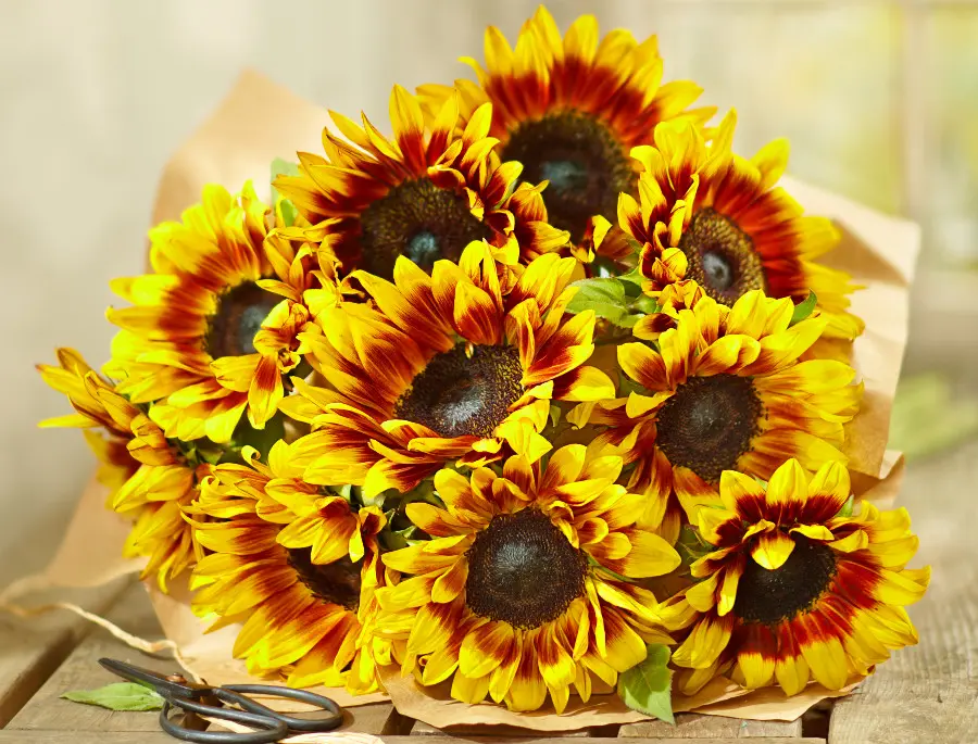 cheerful flowers with Sunflowers