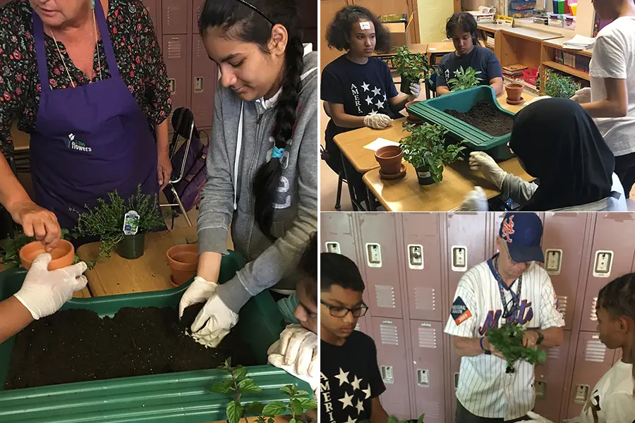 Making Potted Plants Collage