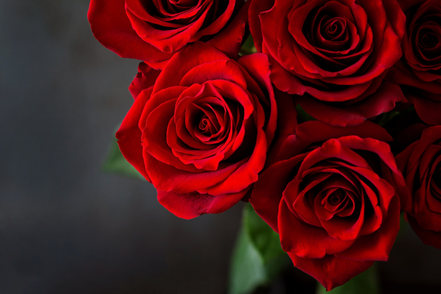 patriotic flowers with red roses