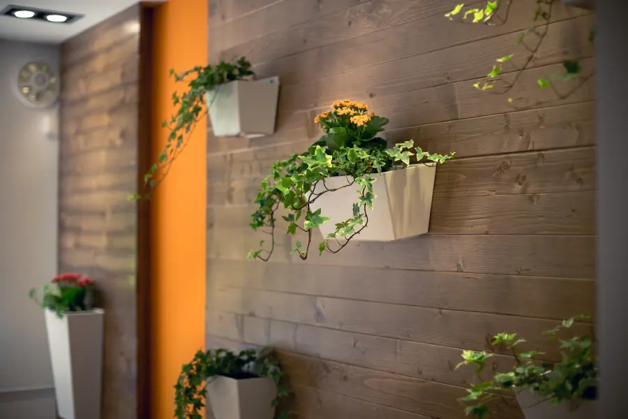 Flowers hanging on wall
