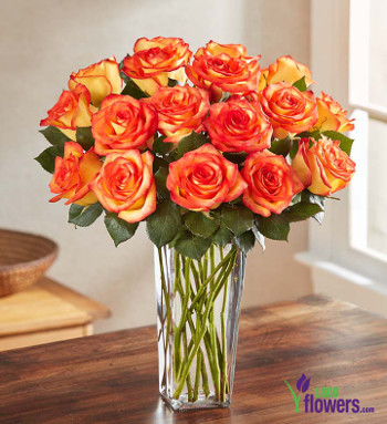 High and Magic Roses, 18 Stems148624   159140