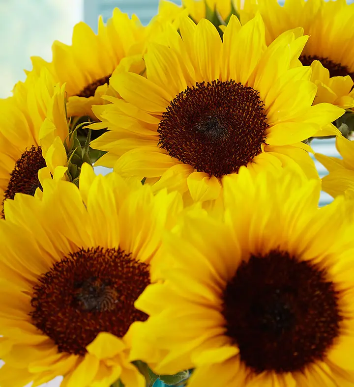 grandparents' day flowers with sunflowers