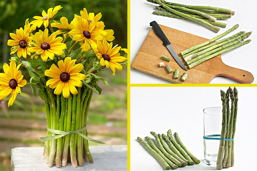 vegetable vase ideas with asparagus how to