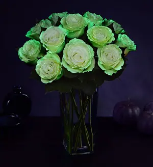 glow in the dark flowers