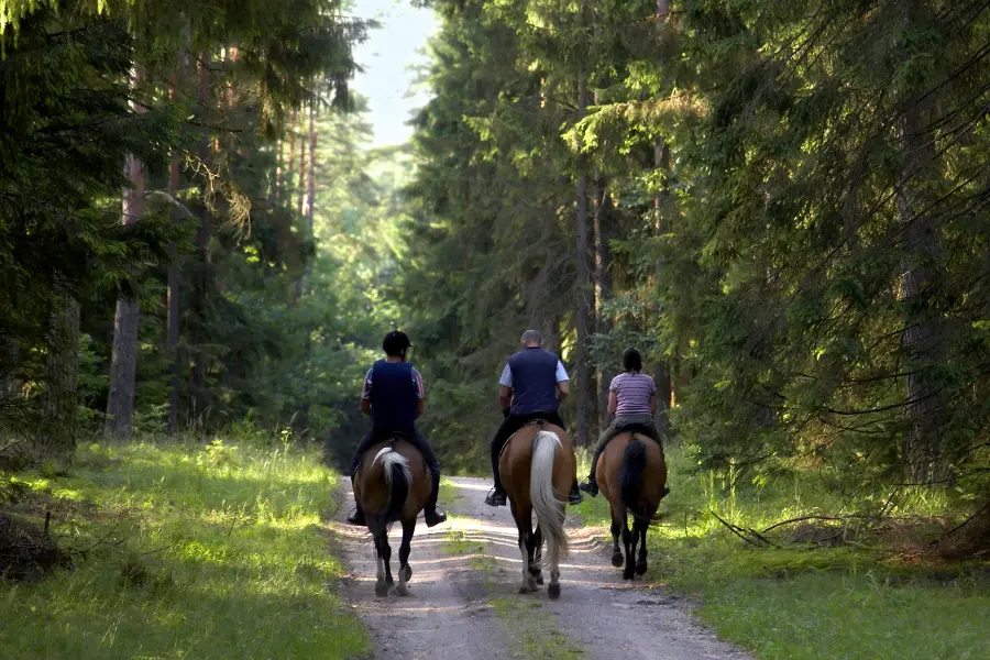 30th birthday ideas with horseback riding with friends