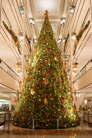 The Essential Holiday Guide to Chicago  Petal Talk