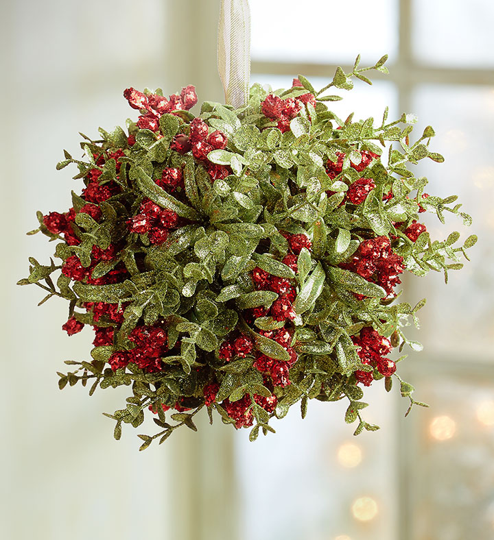 popular christmas flowers with mistletoe