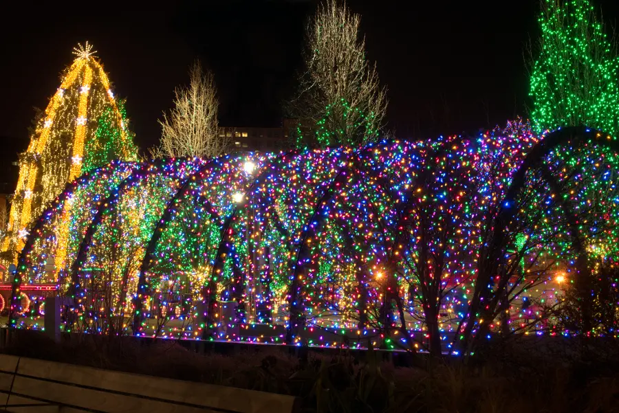 photo of christmas light shows with an impressive light display