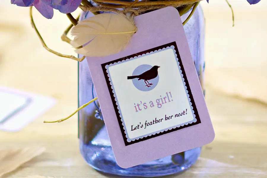baby shower decor ideas with Purple mason jar with gender themed tag