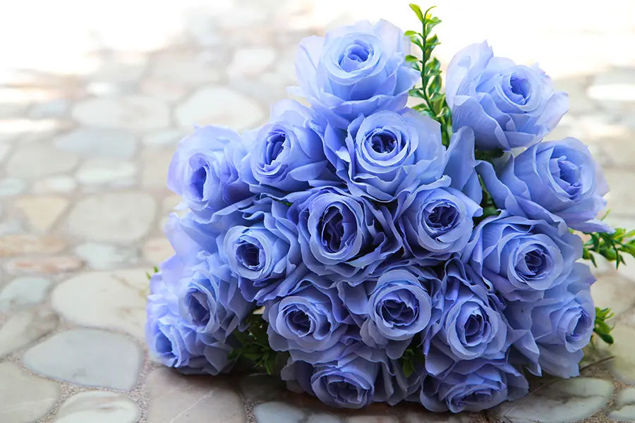 Blue roses, pictured here, symbolize mystery and achieving the impossible.