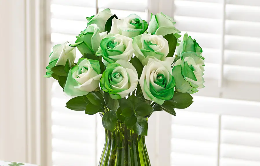 Green roses