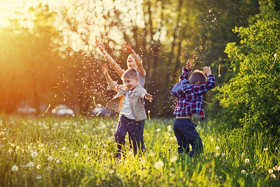 9 Ways to Keep Your Home Pollen-Free This Spring