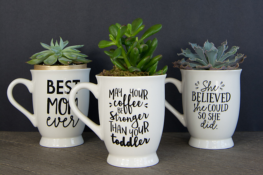 DIY Mother's Day Gift with succulent mug planters