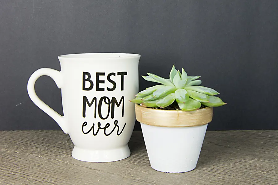 DIY Mother's Day Gift with mug and succulent