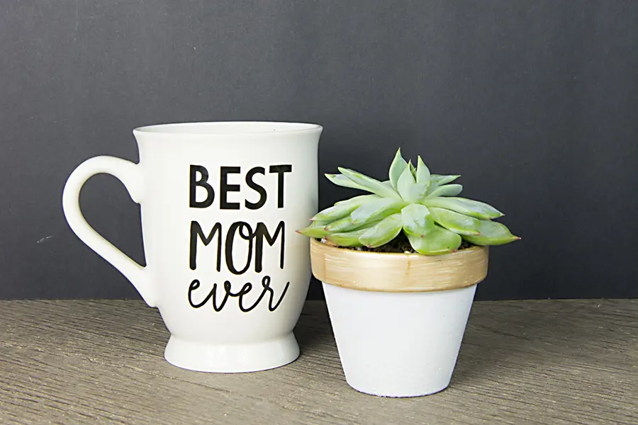 Tea Cup Succulent - Your Homebased Mom