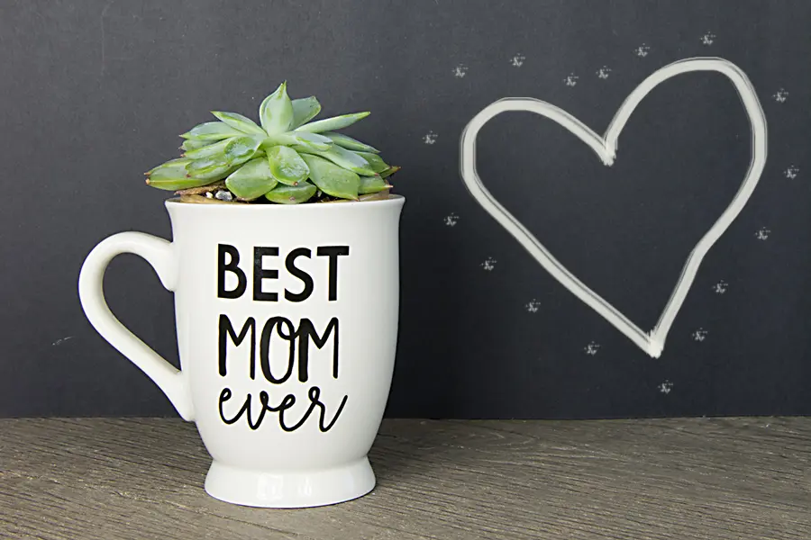DIY Mother's Day Gift with succulent in mug