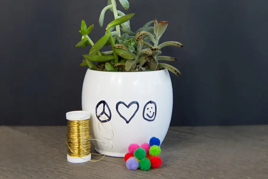 diy succulent craft with wire and pom poms