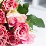 a photo of rose month with a bouquet of pink roses