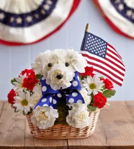 patriotic flowers with patriotic dog bouquet