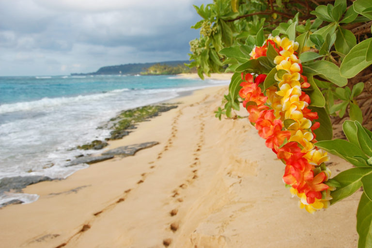 The History of the Lei