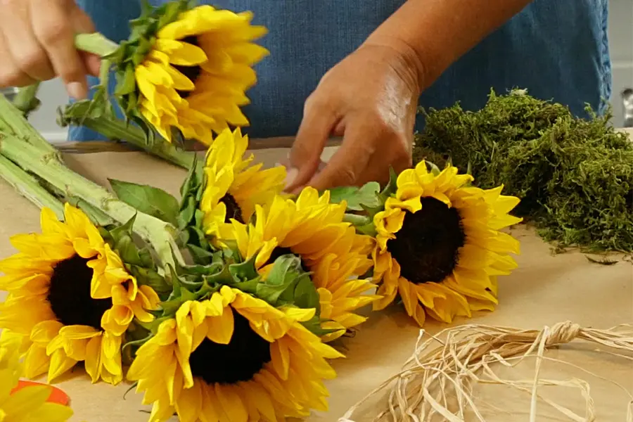 sunflower topiary with choosing sunflowers