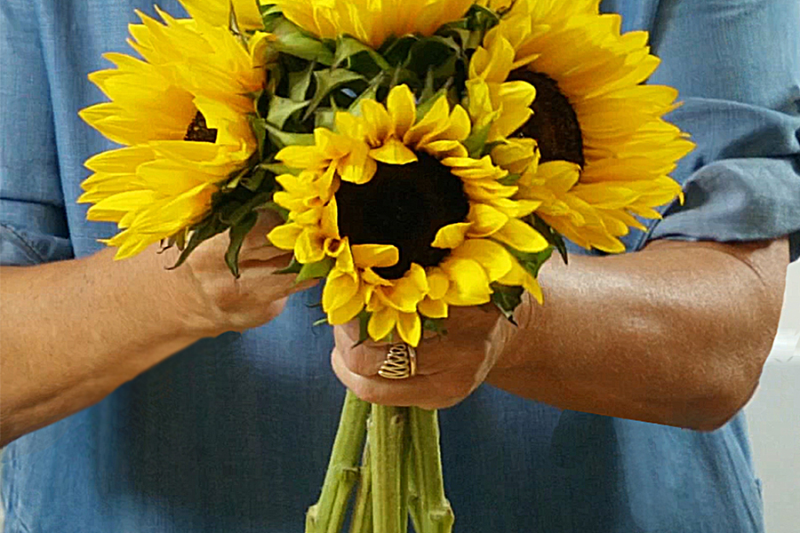 sunflower topiary with gathering sunflowers