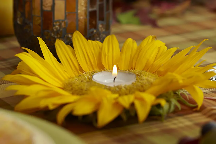 sunflower candle holder with placing candle in holder