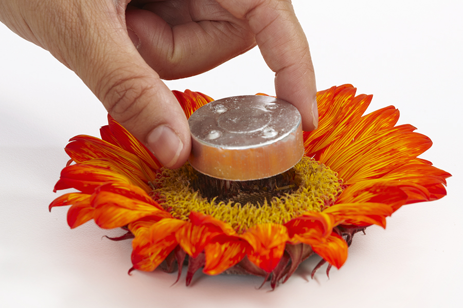 sunflower candle holder with pressing tin holder