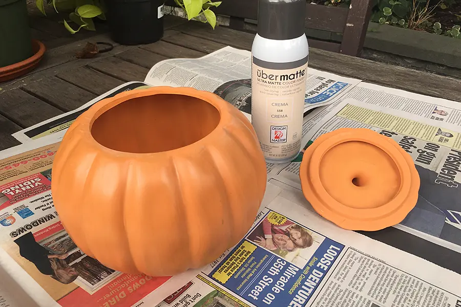 succulent pumpkins with orange ceramic pumpkin