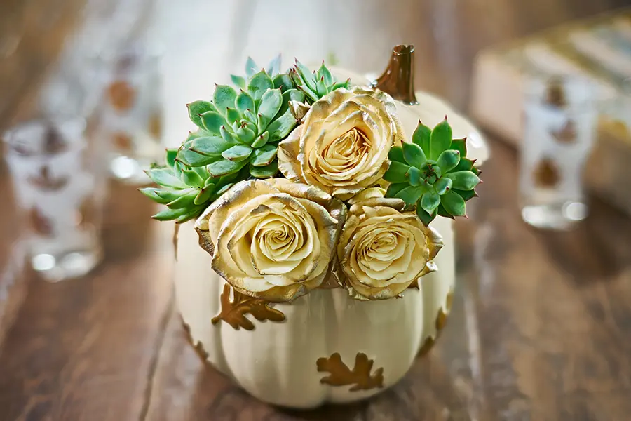 Autumn Succulent Pumpkins