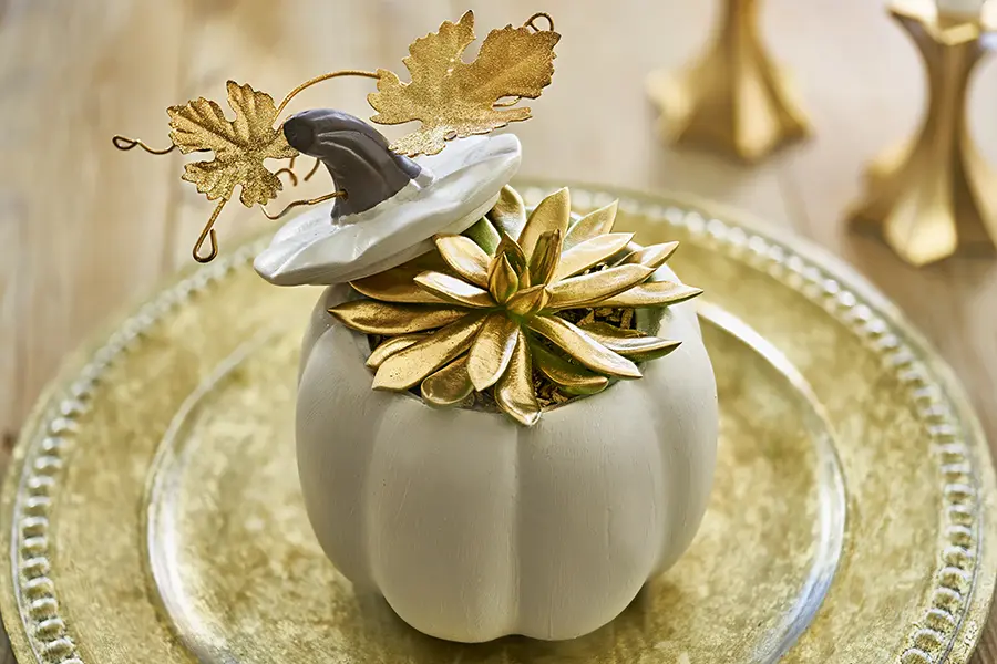 succulent pumpkins with gold spray paint