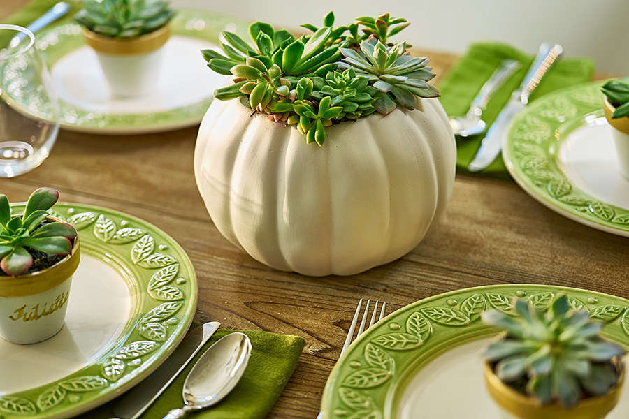 Ideas de decoración para la mesa de otoño con suculentas de maceta