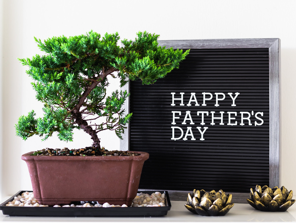 Photo of dad in different languages with a bonsai next to a board that says "happy father's day"