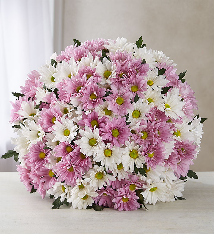 types de fleurs de bouquet de marguerites