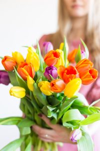 flower-types-tulips
