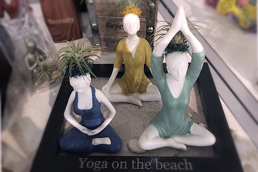 yoga plant container