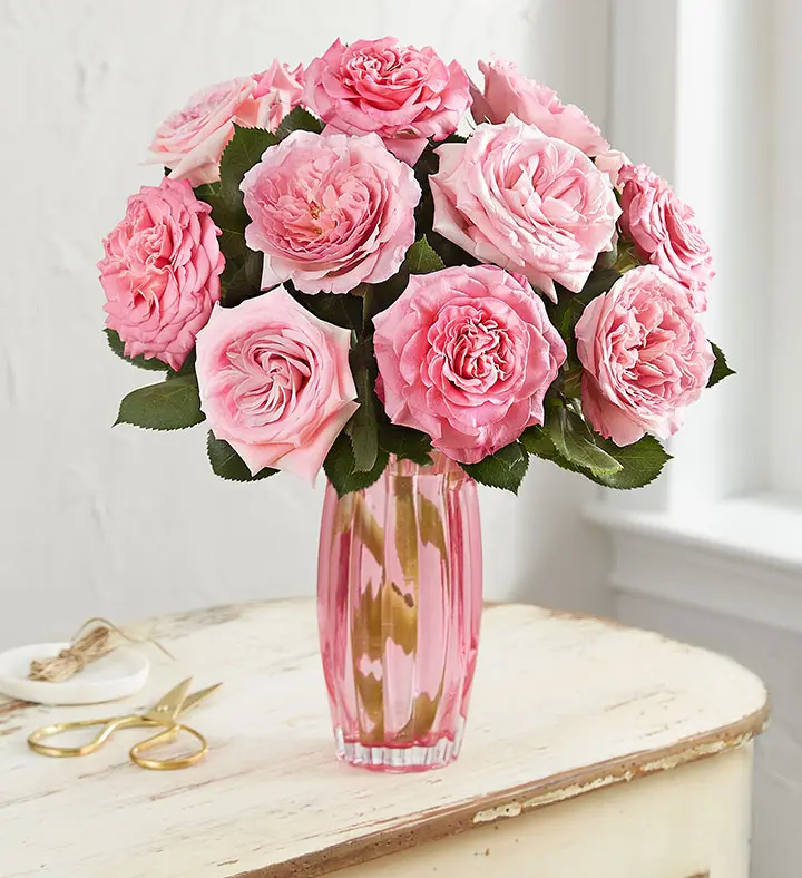 pink English garden roses