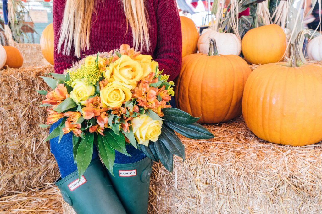 fall blooming flowers