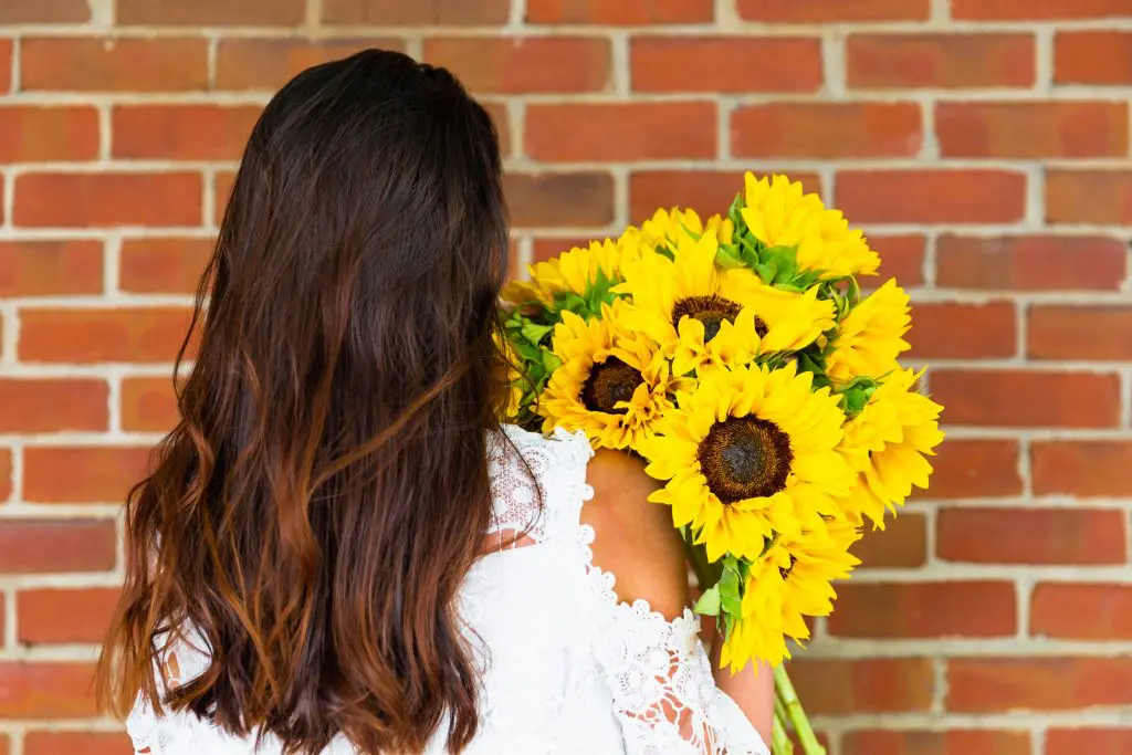 fall blooming flowers sunflowers