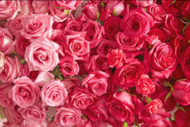 History of Valentine’s Day