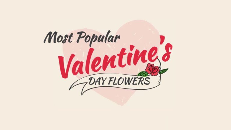 Most Popular Valentine’s Day Flowers