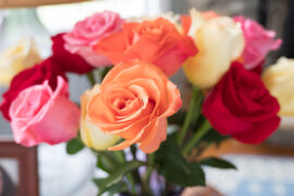 10 Rose Color Meanings for Valentine’s Day
