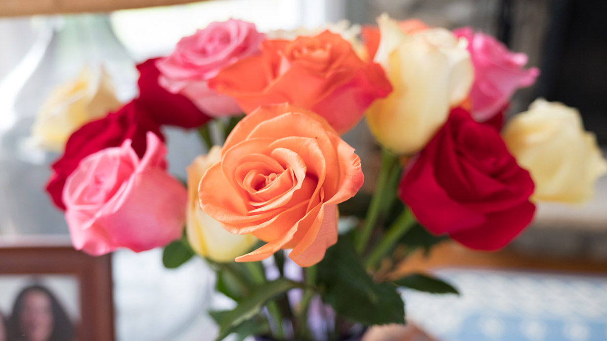 What Color Goes With Yellow Roses Infoupdate