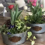personalized container gardens